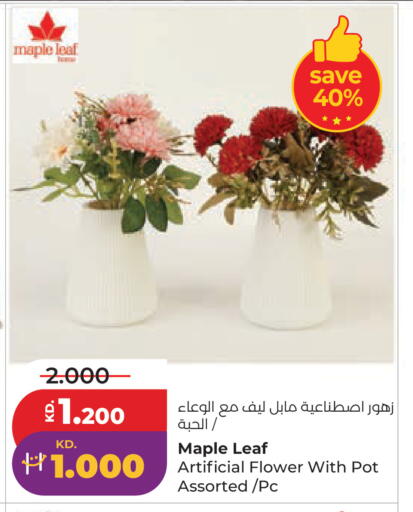 available at Lulu Hypermarket  in Kuwait - Ahmadi Governorate