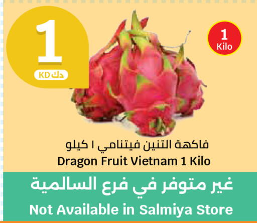 Dragon Fruit from Vietnam available at سيتي هايبرماركت in الكويت - محافظة الأحمدي