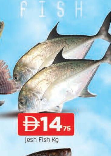 available at AL MADINA in UAE - Sharjah / Ajman