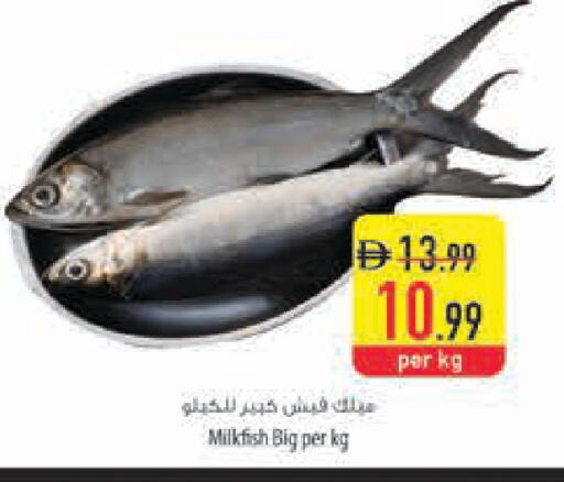 available at السفير ماركت in الإمارات العربية المتحدة , الامارات - ٱلْعَيْن‎
