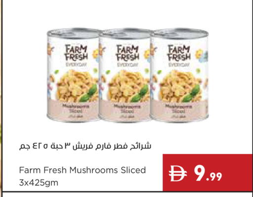 available at إسطنبول سوبرماركت in الإمارات العربية المتحدة , الامارات - دبي