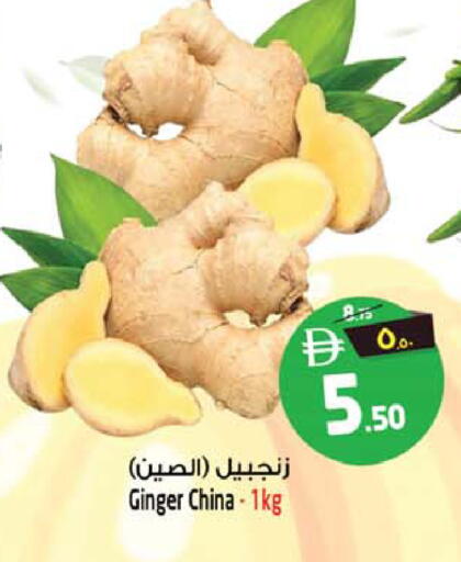 Ginger from China available at Safari Hypermarket  in UAE - Dubai
