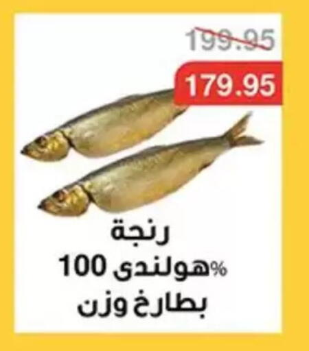 available at أبو صالح ألبان ماركت in Egypt - القاهرة
