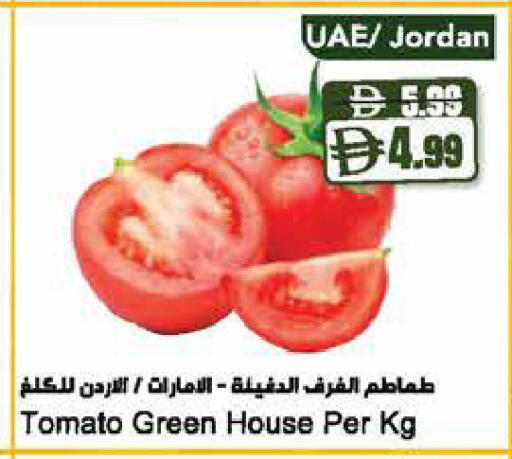 Tomato from Jordan available at المايا سوبرماركت in الإمارات العربية المتحدة , الامارات - ٱلْعَيْن‎