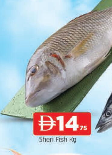 available at AL MADINA in UAE - Sharjah / Ajman