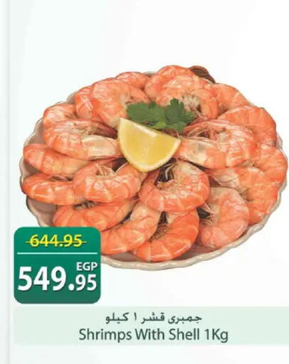 available at Spinneys  in Egypt - Cairo
