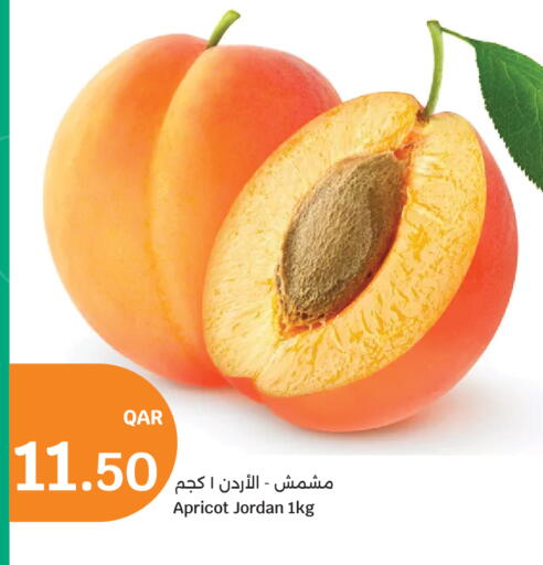 Apricot from Jordan available at سيتي هايبرماركت in قطر - الشمال