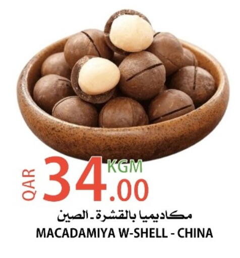 available at البلدي اليوم in قطر - أم صلال