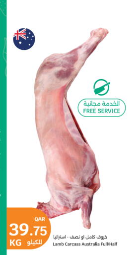 available at سيتي هايبرماركت in قطر - الشمال