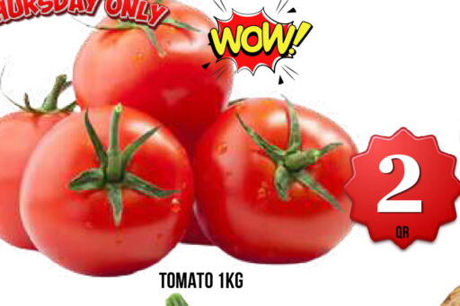 Tomato available at دبي شوبينغ سنتر in قطر - الريان