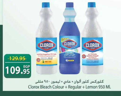 Lemon available at Spinneys  in Egypt - Cairo