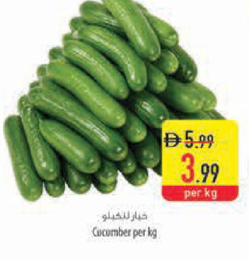 Cucumber available at السفير ماركت in الإمارات العربية المتحدة , الامارات - ٱلْعَيْن‎