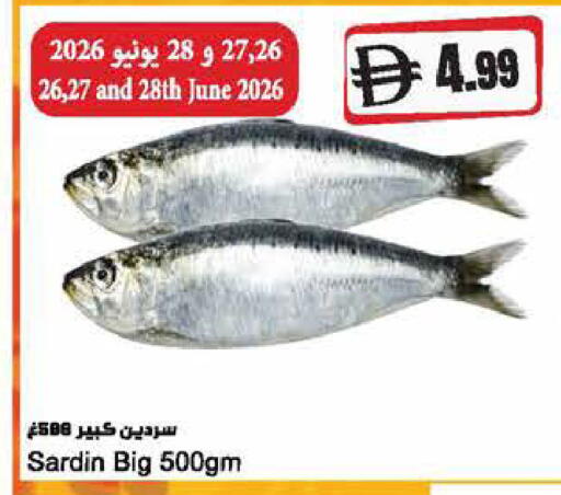 available at المايا سوبرماركت in الإمارات العربية المتحدة , الامارات - رَأْس ٱلْخَيْمَة