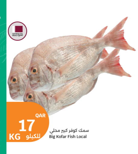 available at سيتي هايبرماركت in قطر - الدوحة