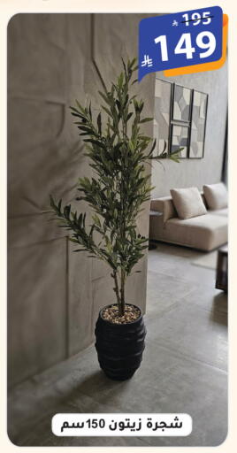 available at الهدايا سنتر in مملكة العربية السعودية, السعودية, سعودية - الطائف