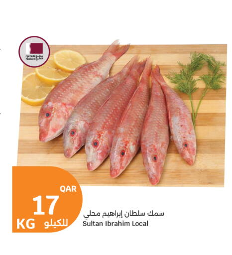 available at سيتي هايبرماركت in قطر - الدوحة