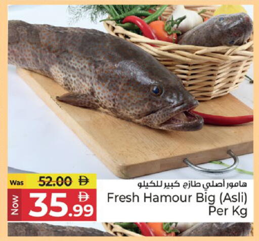 available at كنز هايبرماركت in الإمارات العربية المتحدة , الامارات - الشارقة / عجمان