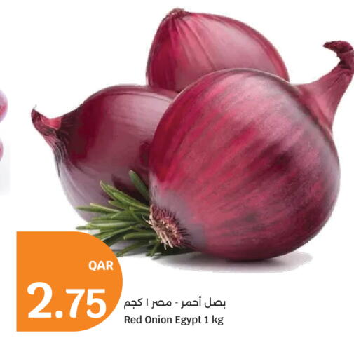 Onion from Egypt available at سيتي هايبرماركت in قطر - الشمال