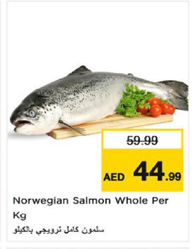 available at نستو هايبرماركت in الإمارات العربية المتحدة , الامارات - أم القيوين‎