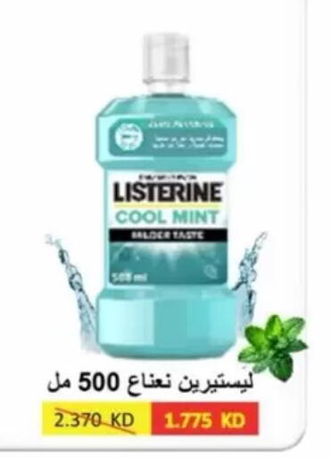 Mint available at Jaber Al-Ahmad Cooperative Society in Kuwait - Kuwait City
