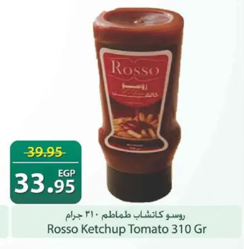 Tomato available at Spinneys  in Egypt - Cairo