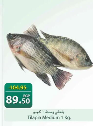 available at Spinneys  in Egypt - Cairo