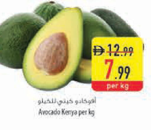 Avocado from Kenya available at Safeer Market in UAE - Ras al Khaimah