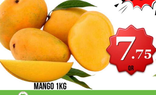Mango available at Dubai Shopping Center in Qatar - Doha