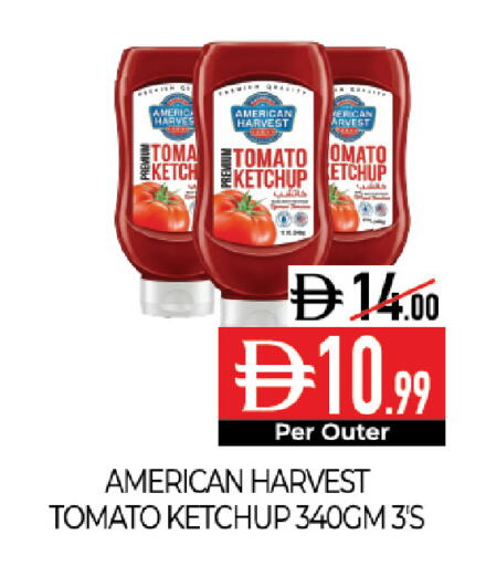 Tomato available at Delice Supermarket in UAE - Abu Dhabi