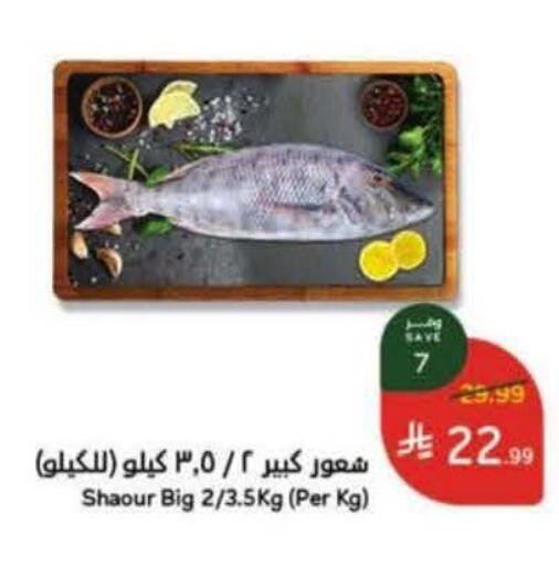 available at هايبر بنده in مملكة العربية السعودية, السعودية, سعودية - تبوك