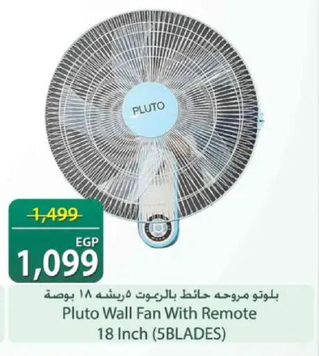 available at سبينس in Egypt - القاهرة