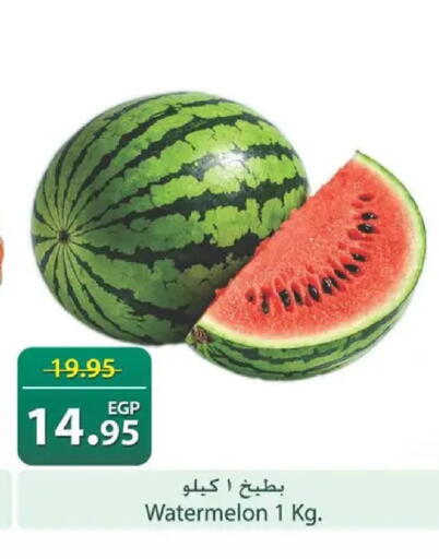 Watermelon available at Spinneys  in Egypt - Cairo
