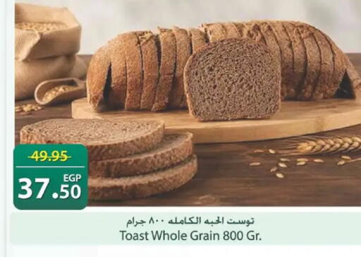 available at سبينس in Egypt - القاهرة