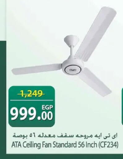available at سبينس in Egypt - القاهرة