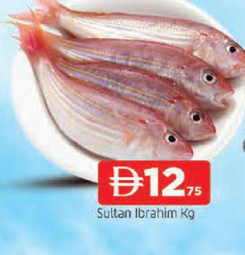 available at AL MADINA in UAE - Sharjah / Ajman