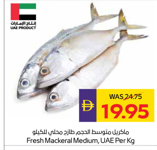 available at أدكووب in الإمارات العربية المتحدة , الامارات - أبو ظبي