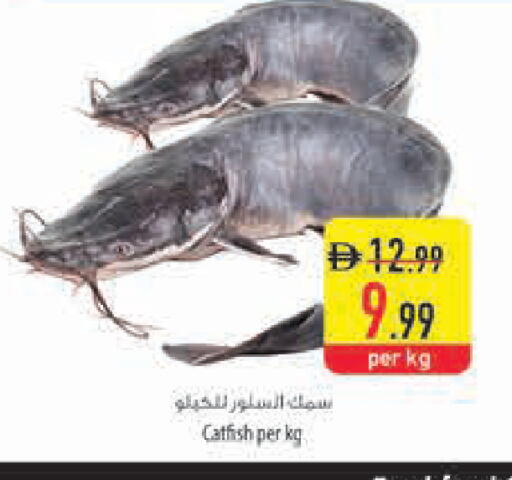 available at السفير ماركت in الإمارات العربية المتحدة , الامارات - ٱلْعَيْن‎