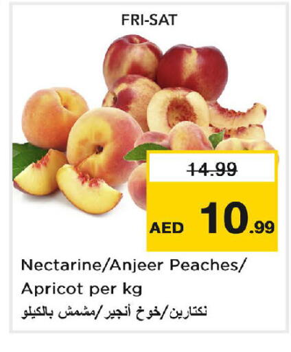 Nectarine Apricot available at Nesto Hypermarket in UAE - Dubai