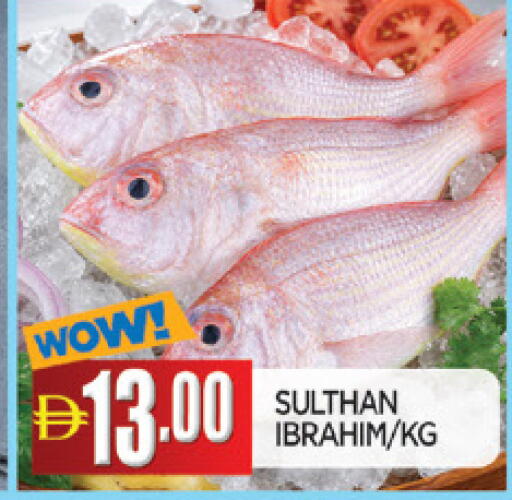 available at AL MADINA in UAE - Sharjah / Ajman