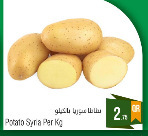 Potato from Syria available at Megamart in Qatar - Doha