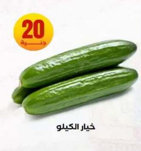 available at المحلاوي ستورز in Egypt - القاهرة