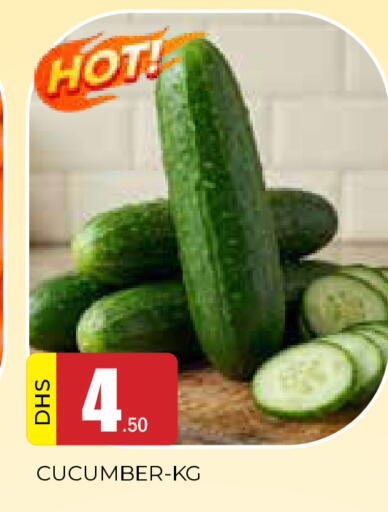 Cucumber available at AL MADINA in UAE - Sharjah / Ajman