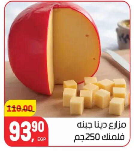 available at Hyper El Mansoura Shobra in Egypt - Cairo