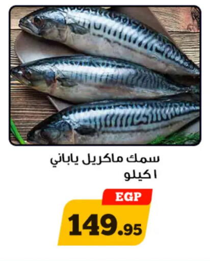 available at أولاد رجب in Egypt - القاهرة
