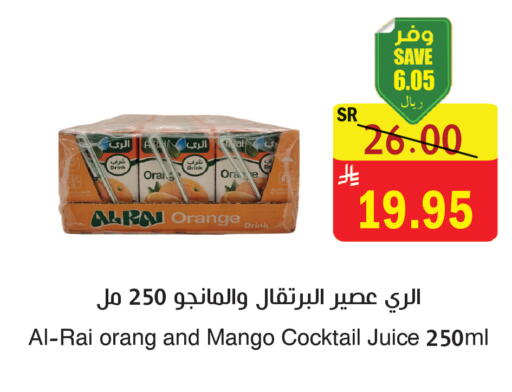 Orange Mango available at  Green Center in KSA, Saudi Arabia, Saudi - Dammam