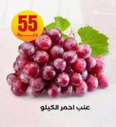 available at المحلاوي ستورز in Egypt - القاهرة