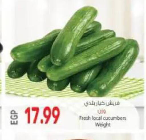available at El.Husseini supermarket  in Egypt - Cairo