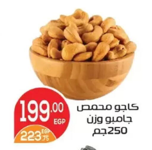 available at Zaher Dairy in Egypt - Cairo