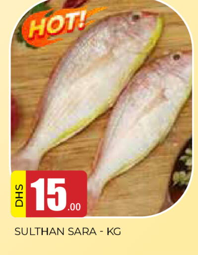 available at AL MADINA in UAE - Sharjah / Ajman