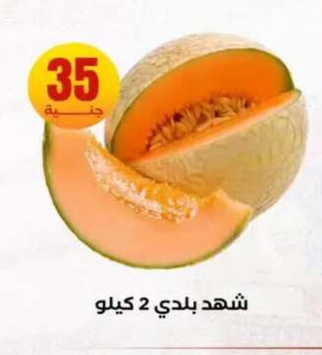 available at المحلاوي ستورز in Egypt - القاهرة